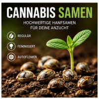 Cannabis Samen Seeds