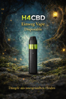 H4CBD Einweg Vape Disposable