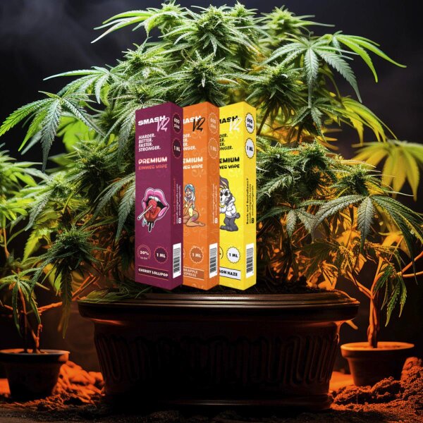 smash vapes hhc Salt Plus main image 0