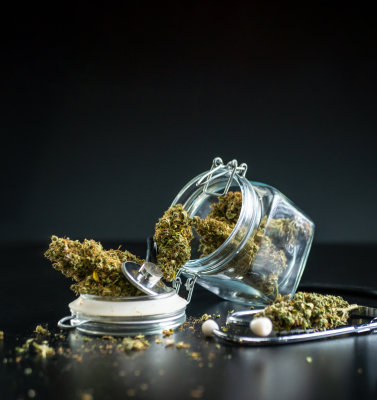 Die Bundesregierung plant ein Gesetz, das den Verkauf von Cannabis in Geschäften regeln soll - Cannabis  wird bald legal zu kaufen sein!
