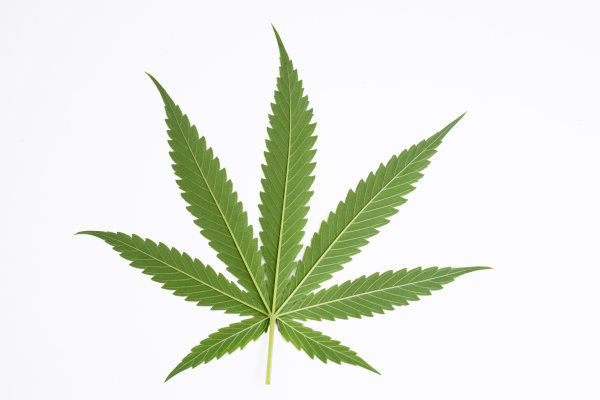 Irie Water: Ein neuer Trend für cannabis-infundierte Hydration - Irie Water: Ein neuer Trend für cannabis-infundierte Hydration