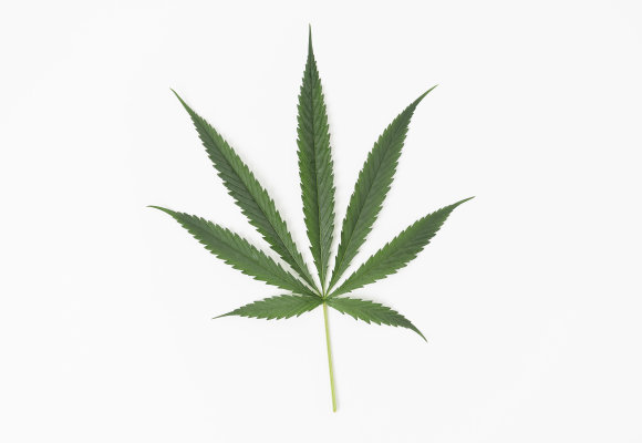 Cannabis Wirkung - Cannabis Wirkung
