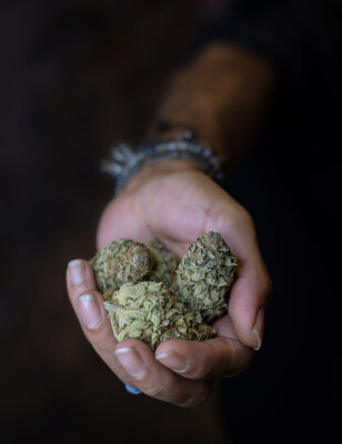 Cannabis wird teilweise legal - Cannabis wird teilweise legal
