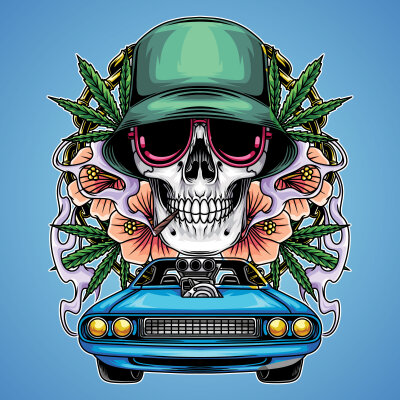 Neuer THC-Grenzwert: Das gilt für Cannabis und Auto fahren - Neuer THC-Grenzwert: Das gilt für Cannabis und Auto fahren