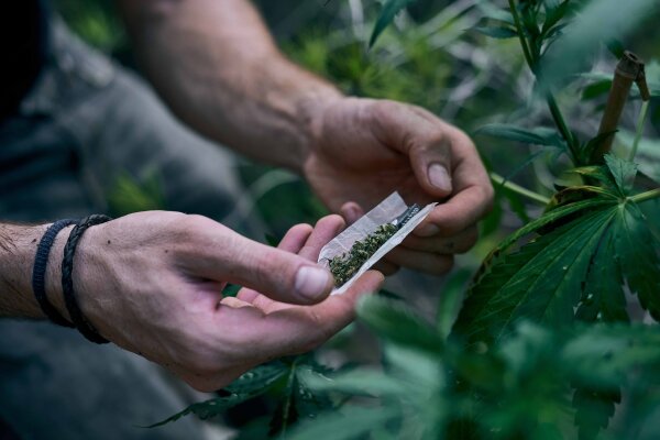 Sind 10 OH-HHC Blüten legal? - Sind 10 OH-HHC Blüten legal?