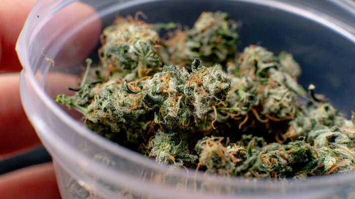 Cannabis-Blüten „spülen“: was bringt Bud Washing wirklich? - Cannabis-Blüten „spülen“: was bringt Bud Washing wirklich?