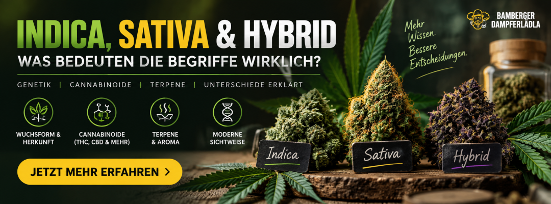 Cannabis Blüten: Indica, Sativa &amp; Hybrid – was bedeuten die Begriffe wirklich? - Indica, Sativa &amp; Hybrid: Unterschiede erklärt | Dampferlädla