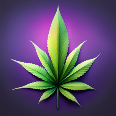 Von verboten zu erlaubt: Die Geschichte der Cannabislegalisierung - Vom Verbot zur Legalisierung: Wie hat sich die Gesetzgebung weiterentwickelt?