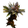 Cannabis Samen Califunk 3 Samen