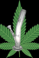 GW37 GLASBONG-18.8er-40cm-ICEBONG