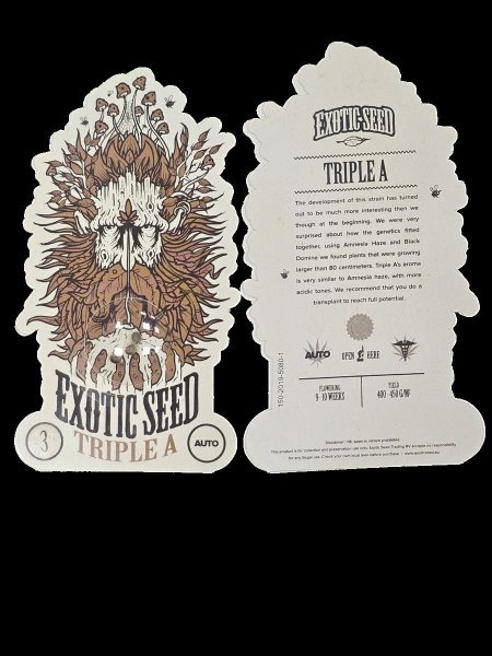 Exotic Seed | TRIPLE A AUTO STRAIN | 3 Seeds per Pack