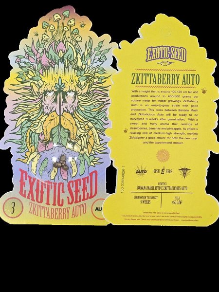 Exotic Seed | ZKITTABERRY AUTO STRAIN | 3 Seeds per Pack