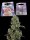 HOLY HEMP Ambrosia Kush Cannabis Samen 3er Pack