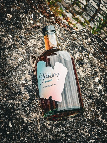 Steckling Kräuter Cannabis CBD Likör 0,5l Candy