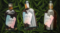 Steckling Kräuter Cannabis CBD Likör 0,5l Candy