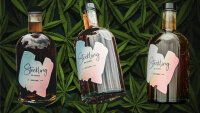 Steckling Kräuter Cannabis CBD Likör 0,5l Royal...