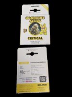 Smash Cannabis Samen Smash 3er Pack Jack Herer Auto