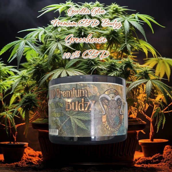 Gorilla Glue Premium CBD Budzz by Lädla OooWeed