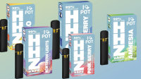 ILovePot HHZ Vape 99% Superior Blend Blueberry
