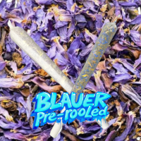 Blauer Lotus Pre-rooled Aroma Räucherstäbchen