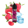 Barehead - BRHD Electric Punch Lychee Ice 10ml Aroma longfill