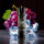 2x Elfbar ELFA CP Prefilled Pod - Grape Ice