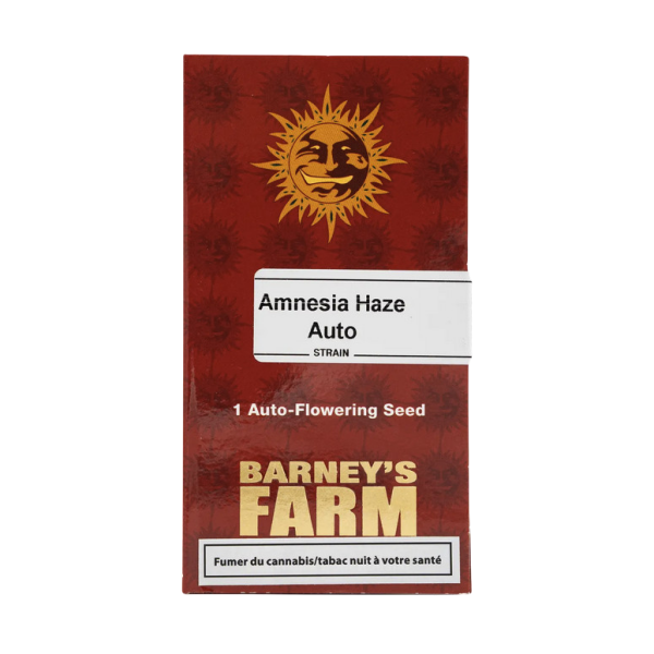 Barney`s Farm |Amnesia Haze Auto Strain | 3 Seeds per Pack