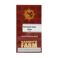 Barney`s Farm |Amnesia Haze Auto Strain | 3 Seeds per Pack