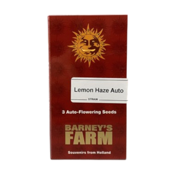 Barney`s Farm |lemon Haze Auto Strain | 3 Seeds per Pack