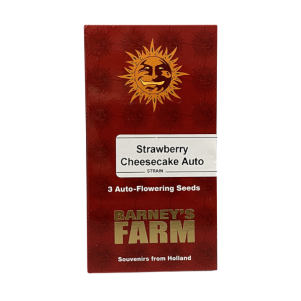 Barney`s Farm |Strawberry Cheesecake  AUTO STRAIN | 3 Seeds per Pack