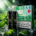 2x Elfbar ELFA CP Prefilled Pod -Double Mint 20mg