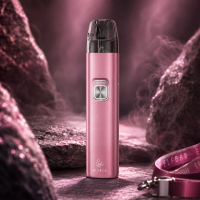 Elfbar ELFX 2 Refillable Kit – 1700 mAh & 30...