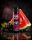 OWL SALT Watermelon Blackcurrant 10ml longfill