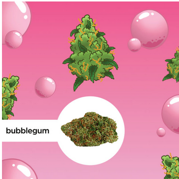 Bubblegum HHC 40%