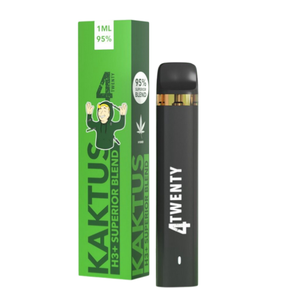 Kaktus